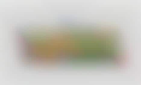 Iconic Cartoon LEGO Collections