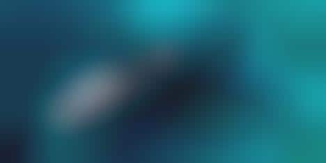 Luxury Drop-Top Yachts