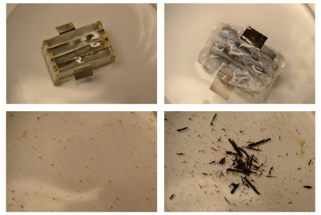 Bold Biodegradable Batteries
