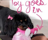 Conducive Canine Treat Dispensers Image 3
