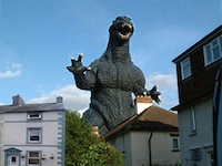 House-Sitting Photo Pranks Image 5