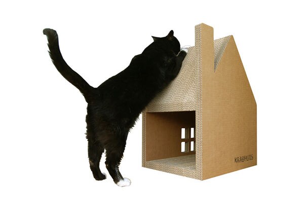 13 Eco-Friendly Pet Products