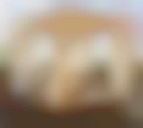 Dream-Inducing Daybeds