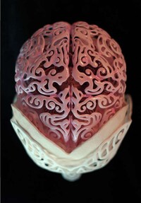 Skeletal Self-Portraits Image 5