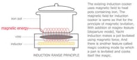 Magnetic Field Cookers Image 2