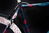 Illustrated Bike Frames Image 4