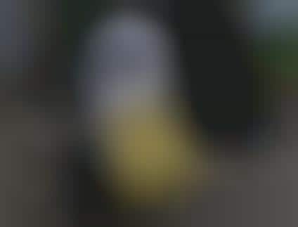 Hamster-Powered Toys