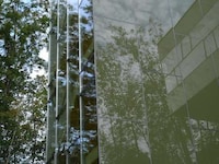 Forest-Reflecting Glass Homes Image 6