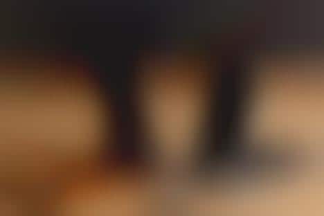 Versatile Leather Phone Stands