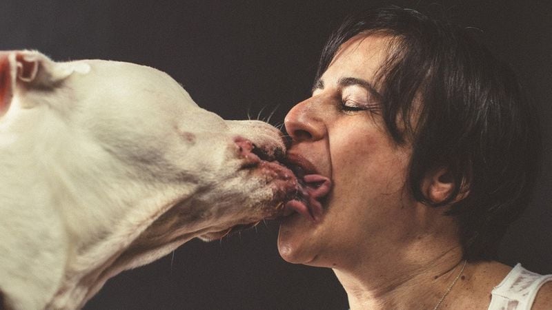 Pet Makeout Photography