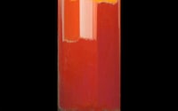 Modern Painting Merged Videos Image 6