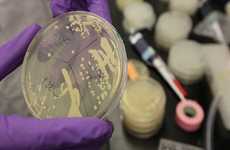 Synthetically Created Chromosomes