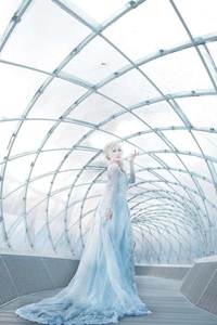 Disney Ice Queen Costumes Image 3