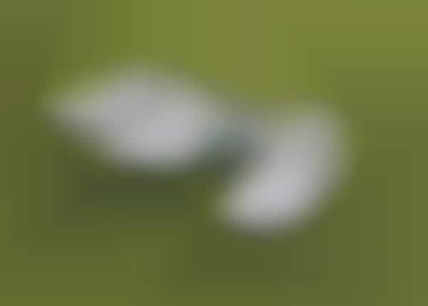 High-Performance Golf Shoes