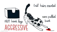 Feline Body Language Animations Image 2