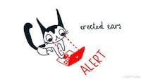 Feline Body Language Animations Image 3