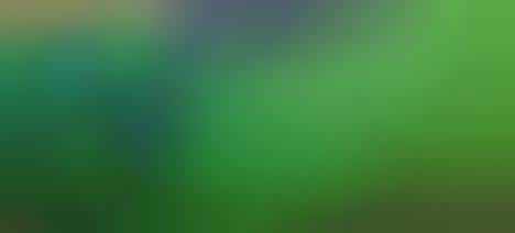 Movement-Conforming Sneakers