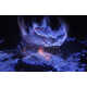 Mesmerizing Volcano Photography Image 3