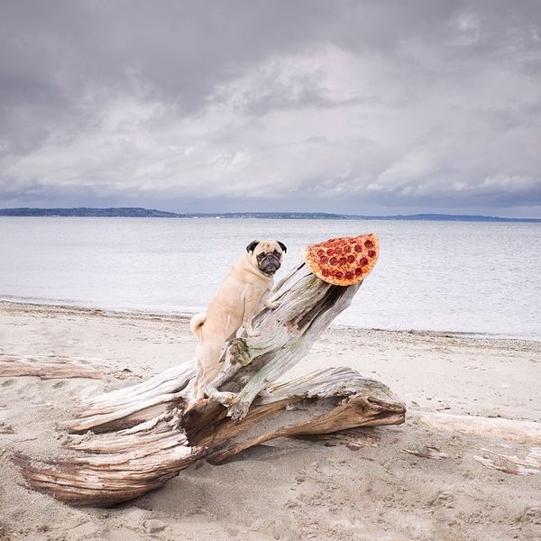 Oddly Placed Pizza Photography