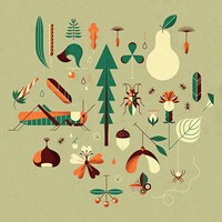 Nature-Inspired Geometric Illustrations Image 2