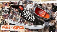 Feline Abuse Awareness Footwear Image 2