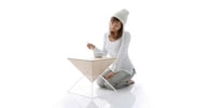 Perfect Polyhedral Perches Image 3