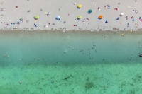 Aerial Evolutionary Landscapes Image 2