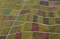 Aerial Evolutionary Landscapes Image 4