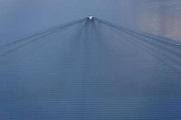 Aerial Evolutionary Landscapes Image 6