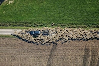Aerial Evolutionary Landscapes Image 8