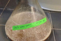 Prehistoric Home-Brewed Beers Image 2