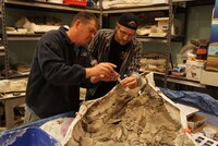 Prehistoric Home-Brewed Beers Image 3