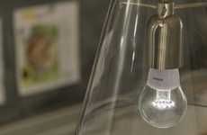 Energy-Efficient Lightbulbs