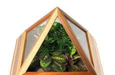 Lush Indoor Gardening Terrariums