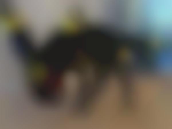 Puppy Cosplay Costumes