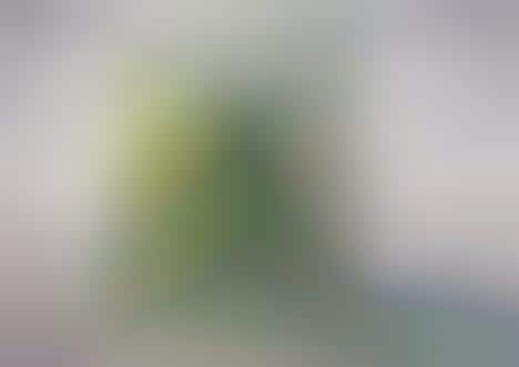 Translucent Plant Partitions