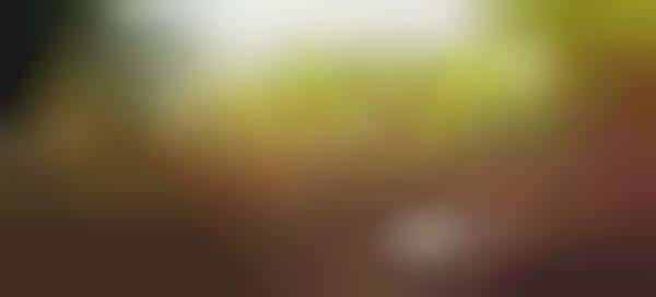 Miniature Galactic Photoraphy