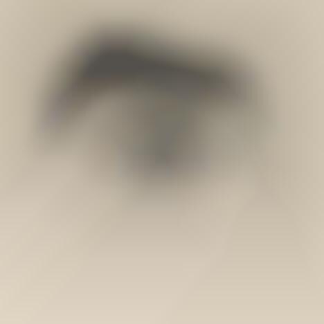 Emotive Eye Illustrations