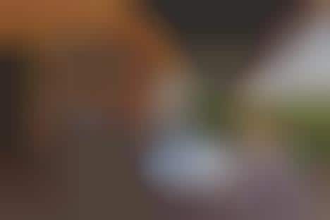 Luxuriously Wild Safari Camps