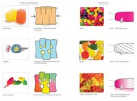 Candy-Inspired Children