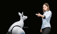 Bionic Kangaroos Image 2