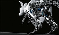 Bionic Kangaroos Image 3
