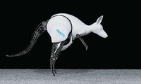 Bionic Kangaroos Image 4