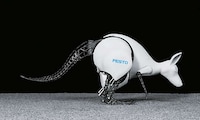Bionic Kangaroos Image 5