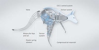 Bionic Kangaroos Image 7