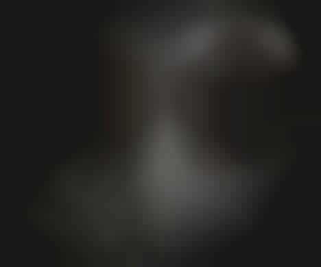 Carbon Fiber Toilet Seats