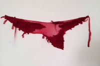 Biological Knitwear Art Image 3