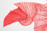 Biological Knitwear Art Image 4