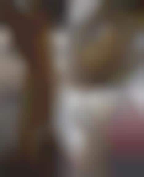 Customized Cardboard Replicas