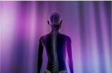 Spinal Cord Electrodes